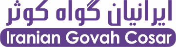 لوگوی شرکت ایرانیان گواه کوثر