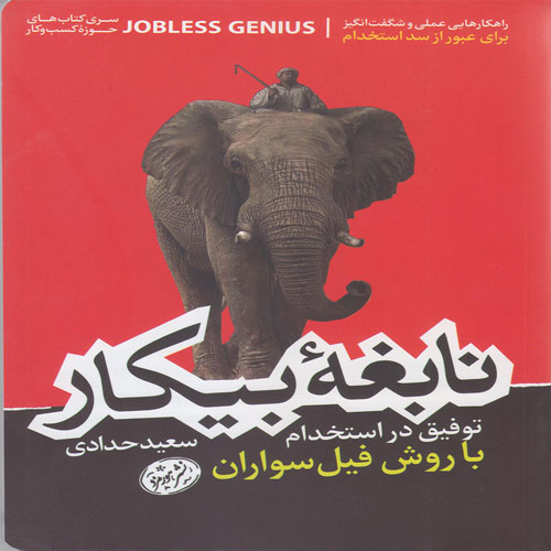 کتاب نابغه ی بیکار